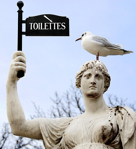 トイレ.jpg